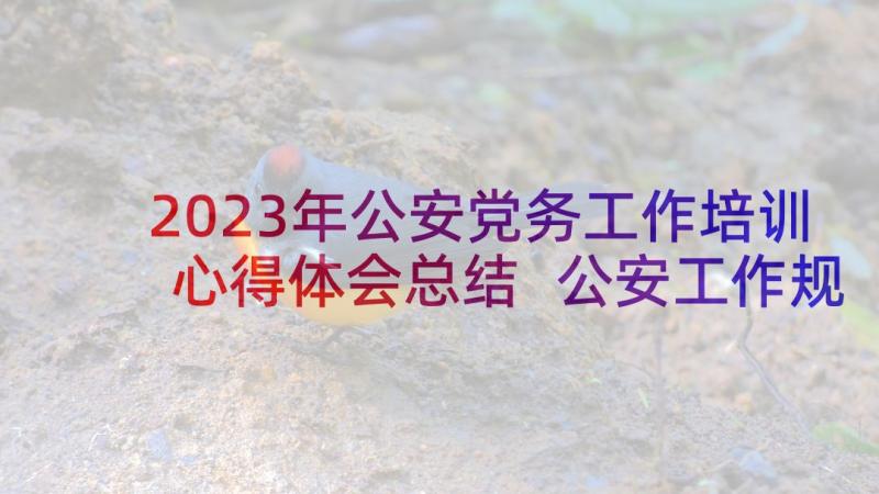 2023年公安党务工作培训心得体会总结 公安工作规则培训心得体会(精选6篇)