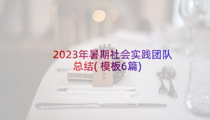 2023年暑期社会实践团队总结(模板6篇)