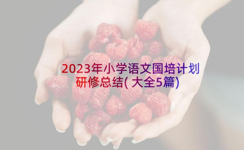 2023年小学语文国培计划研修总结(大全5篇)