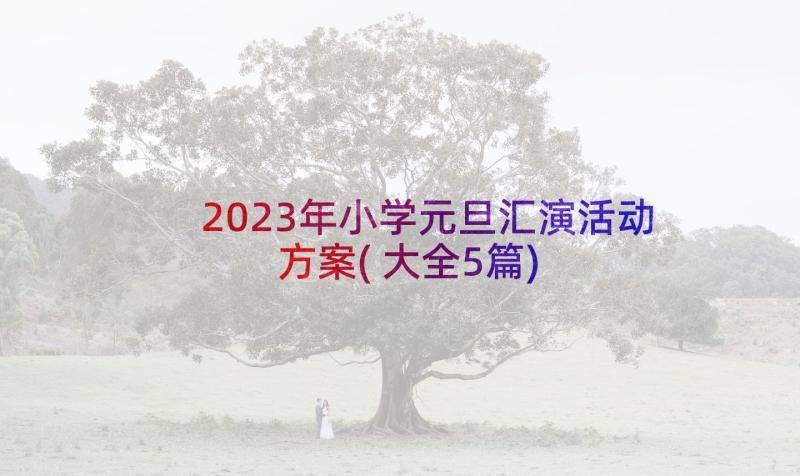 2023年小学元旦汇演活动方案(大全5篇)