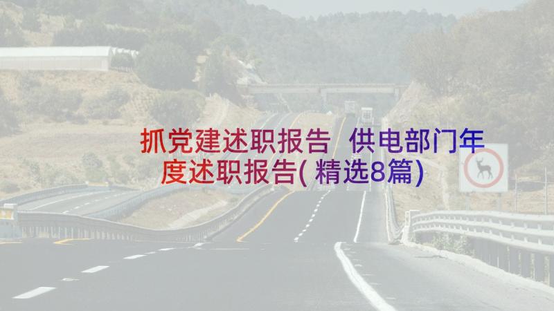 抓党建述职报告 供电部门年度述职报告(精选8篇)