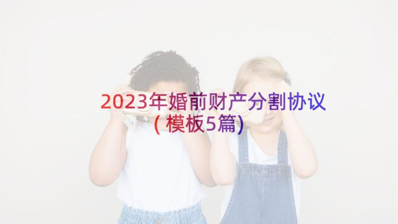 2023年婚前财产分割协议(模板5篇)