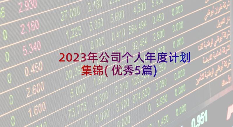 2023年公司个人年度计划集锦(优秀5篇)