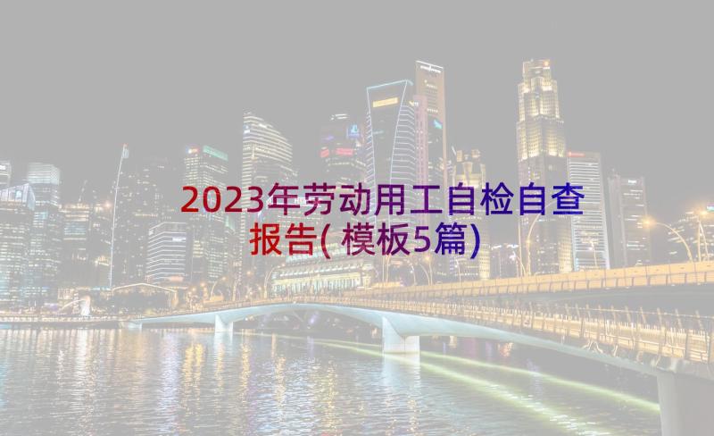 2023年劳动用工自检自查报告(模板5篇)