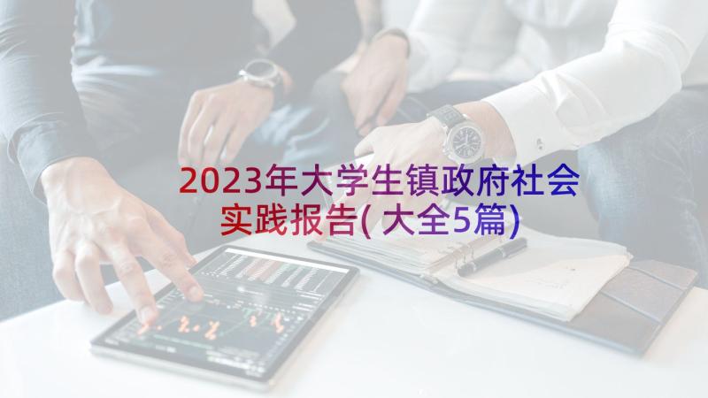 2023年大学生镇政府社会实践报告(大全5篇)