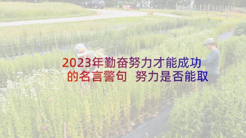 2023年勤奋努力才能成功的名言警句 努力是否能取得成功演讲稿(大全5篇)