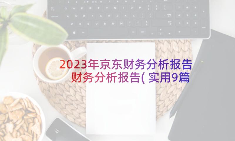 2023年京东财务分析报告 财务分析报告(实用9篇)