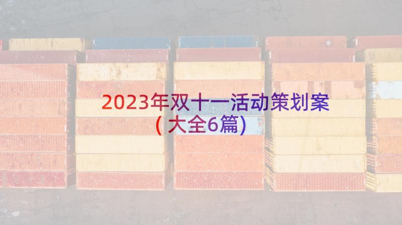 2023年双十一活动策划案(大全6篇)