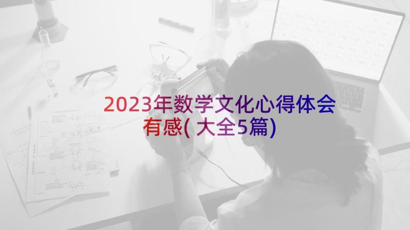 2023年数学文化心得体会有感(大全5篇)