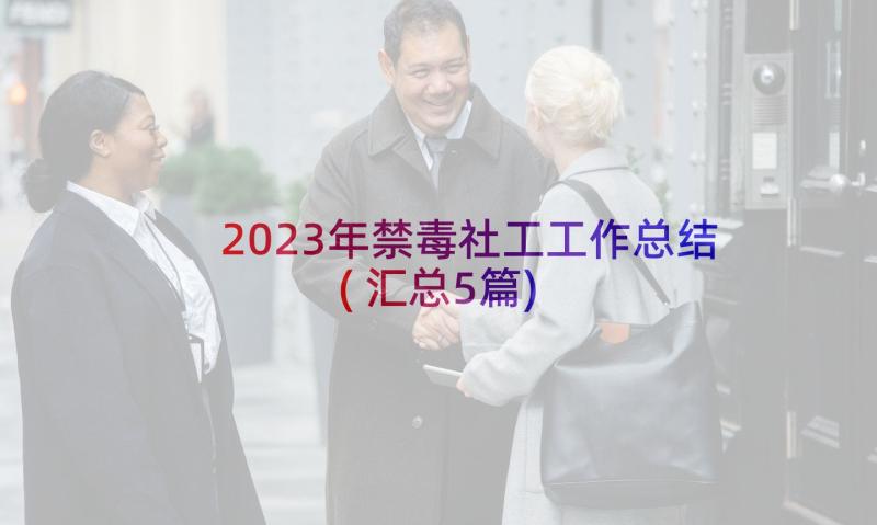 2023年禁毒社工工作总结(汇总5篇)