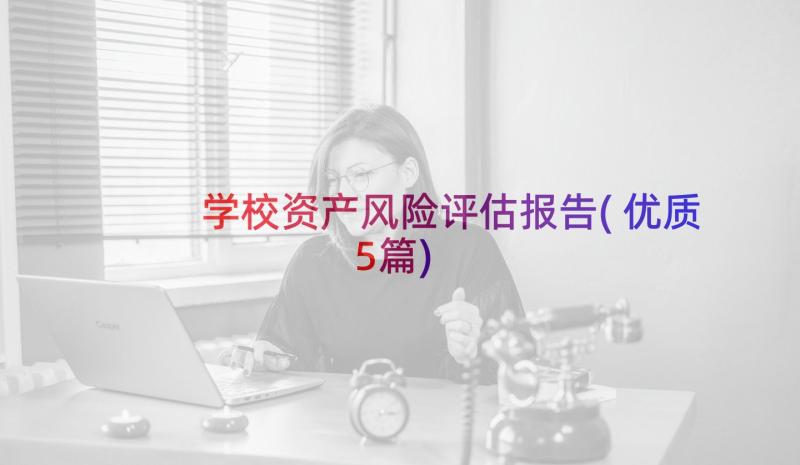 学校资产风险评估报告(优质5篇)