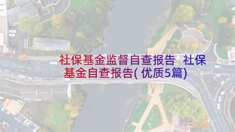 社保基金监督自查报告 社保基金自查报告(优质5篇)