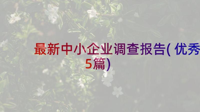 最新中小企业调查报告(优秀5篇)