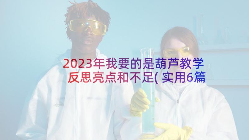 2023年我要的是葫芦教学反思亮点和不足(实用6篇)