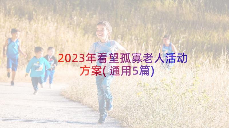 2023年看望孤寡老人活动方案(通用5篇)