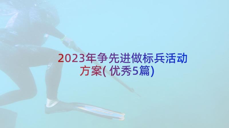 2023年争先进做标兵活动方案(优秀5篇)