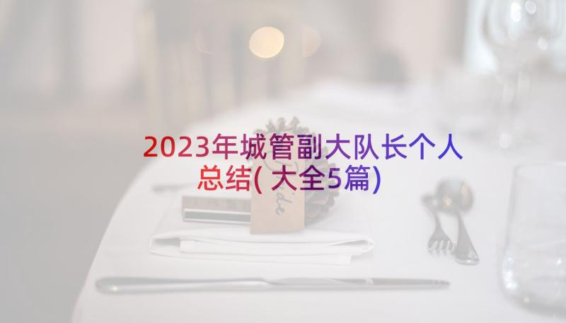 2023年城管副大队长个人总结(大全5篇)