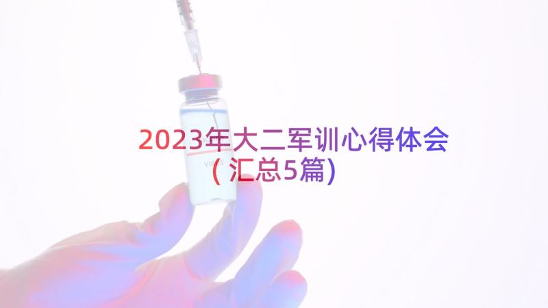 2023年大二军训心得体会(汇总5篇)