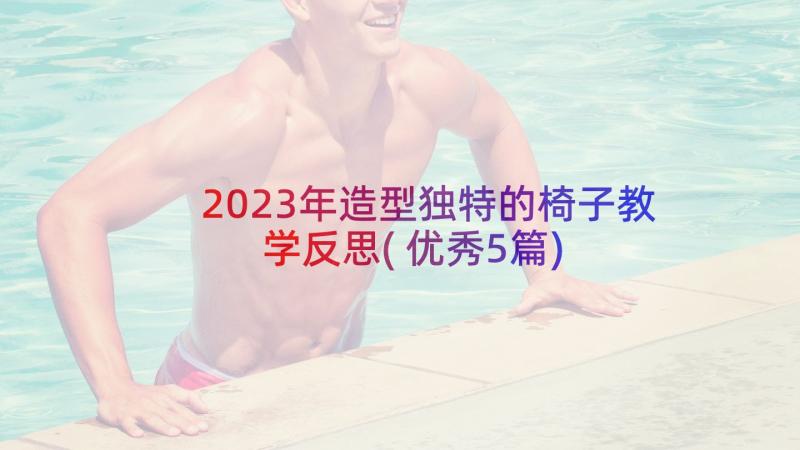 2023年造型独特的椅子教学反思(优秀5篇)