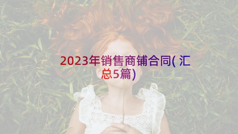 2023年销售商铺合同(汇总5篇)