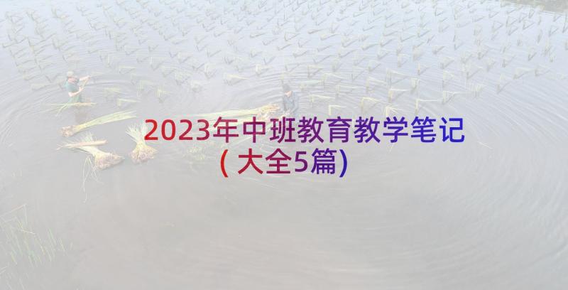 2023年中班教育教学笔记(大全5篇)