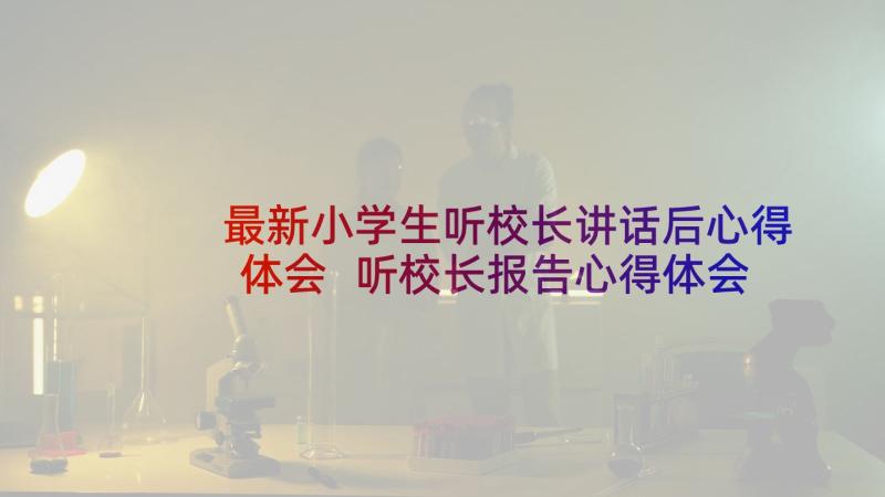 最新小学生听校长讲话后心得体会 听校长报告心得体会(大全5篇)