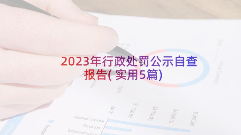 2023年行政处罚公示自查报告(实用5篇)