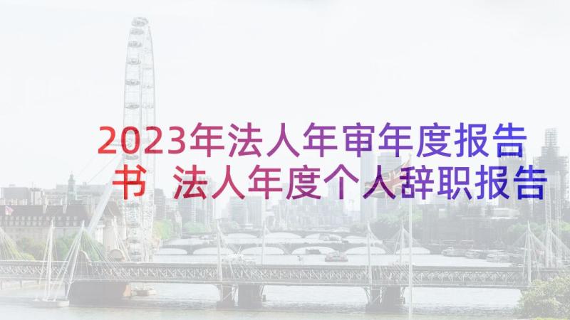 2023年法人年审年度报告书 法人年度个人辞职报告(模板5篇)