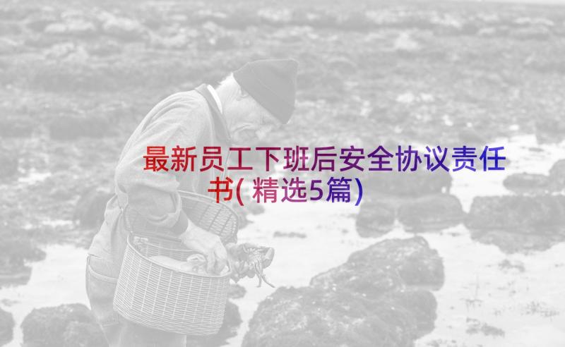 最新员工下班后安全协议责任书(精选5篇)