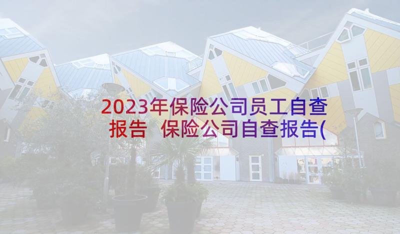 2023年保险公司员工自查报告 保险公司自查报告(汇总5篇)