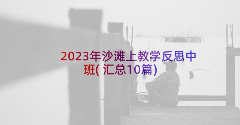 2023年沙滩上教学反思中班(汇总10篇)