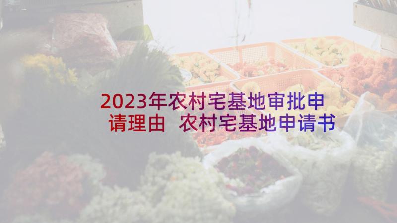 2023年农村宅基地审批申请理由 农村宅基地申请书(大全5篇)