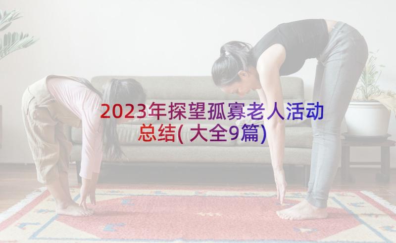 2023年探望孤寡老人活动总结(大全9篇)