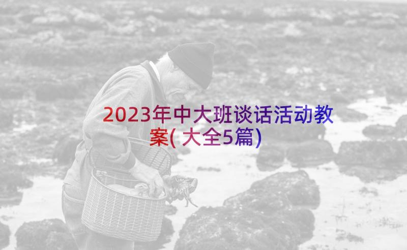 2023年中大班谈话活动教案(大全5篇)