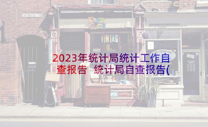 2023年统计局统计工作自查报告 统计局自查报告(精选6篇)