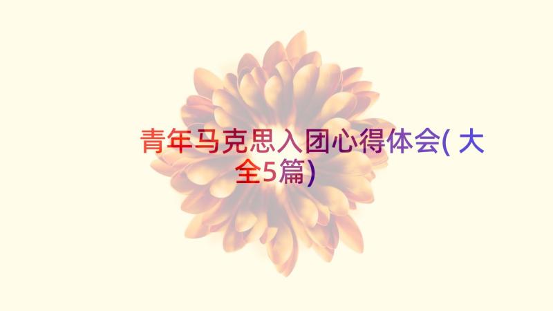 青年马克思入团心得体会(大全5篇)