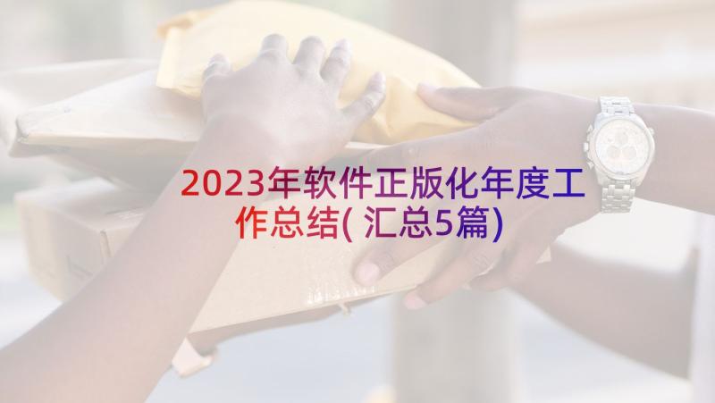 2023年软件正版化年度工作总结(汇总5篇)