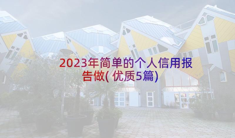 2023年简单的个人信用报告做(优质5篇)