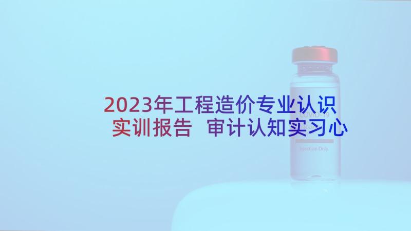 2023年工程造价专业认识实训报告 审计认知实习心得体会(优秀5篇)