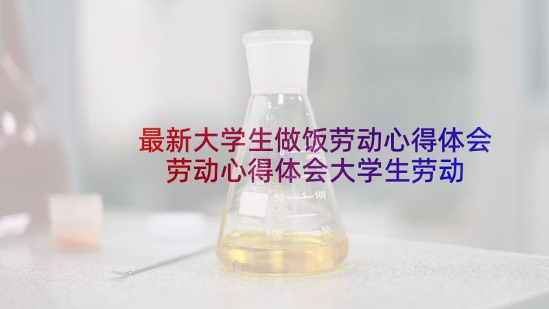 最新大学生做饭劳动心得体会 劳动心得体会大学生劳动课(大全9篇)