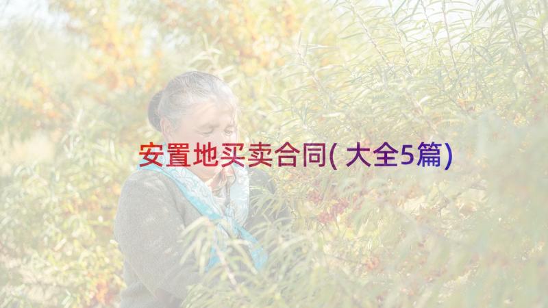 安置地买卖合同(大全5篇)