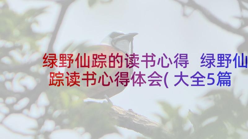 绿野仙踪的读书心得 绿野仙踪读书心得体会(大全5篇)