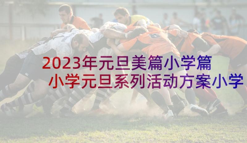 2023年元旦美篇小学篇 小学元旦系列活动方案小学元旦系列美篇(汇总5篇)