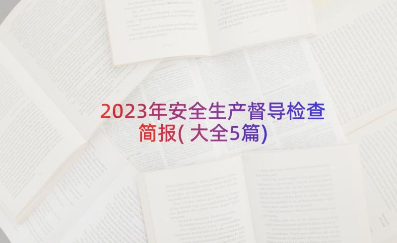 2023年安全生产督导检查简报(大全5篇)