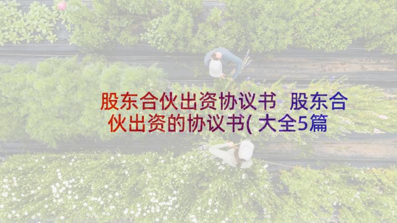 股东合伙出资协议书 股东合伙出资的协议书(大全5篇)