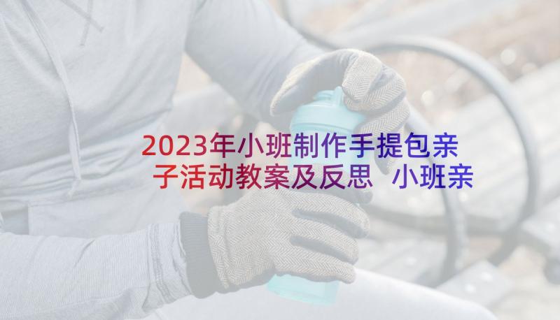 2023年小班制作手提包亲子活动教案及反思 小班亲子制作活动教案(优质5篇)