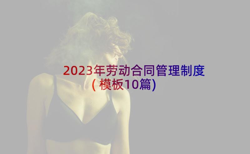 2023年劳动合同管理制度(模板10篇)