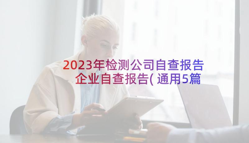 2023年检测公司自查报告 企业自查报告(通用5篇)