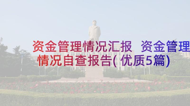 资金管理情况汇报 资金管理情况自查报告(优质5篇)