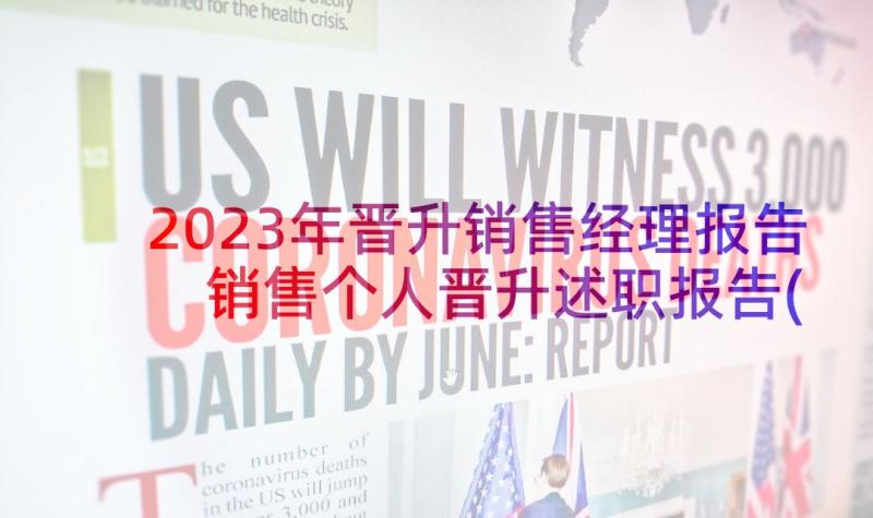 2023年晋升销售经理报告 销售个人晋升述职报告(优质6篇)